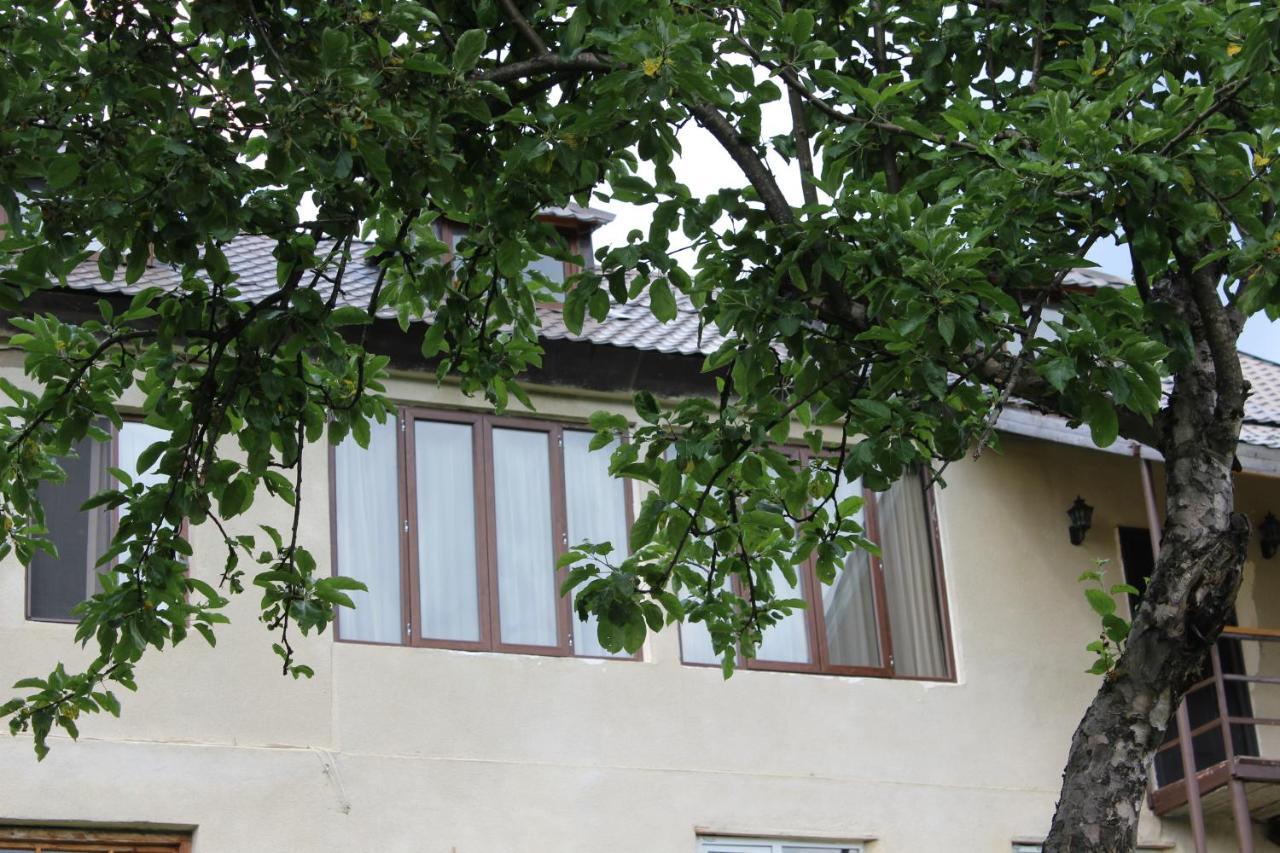 Village House Mestia Kültér fotó