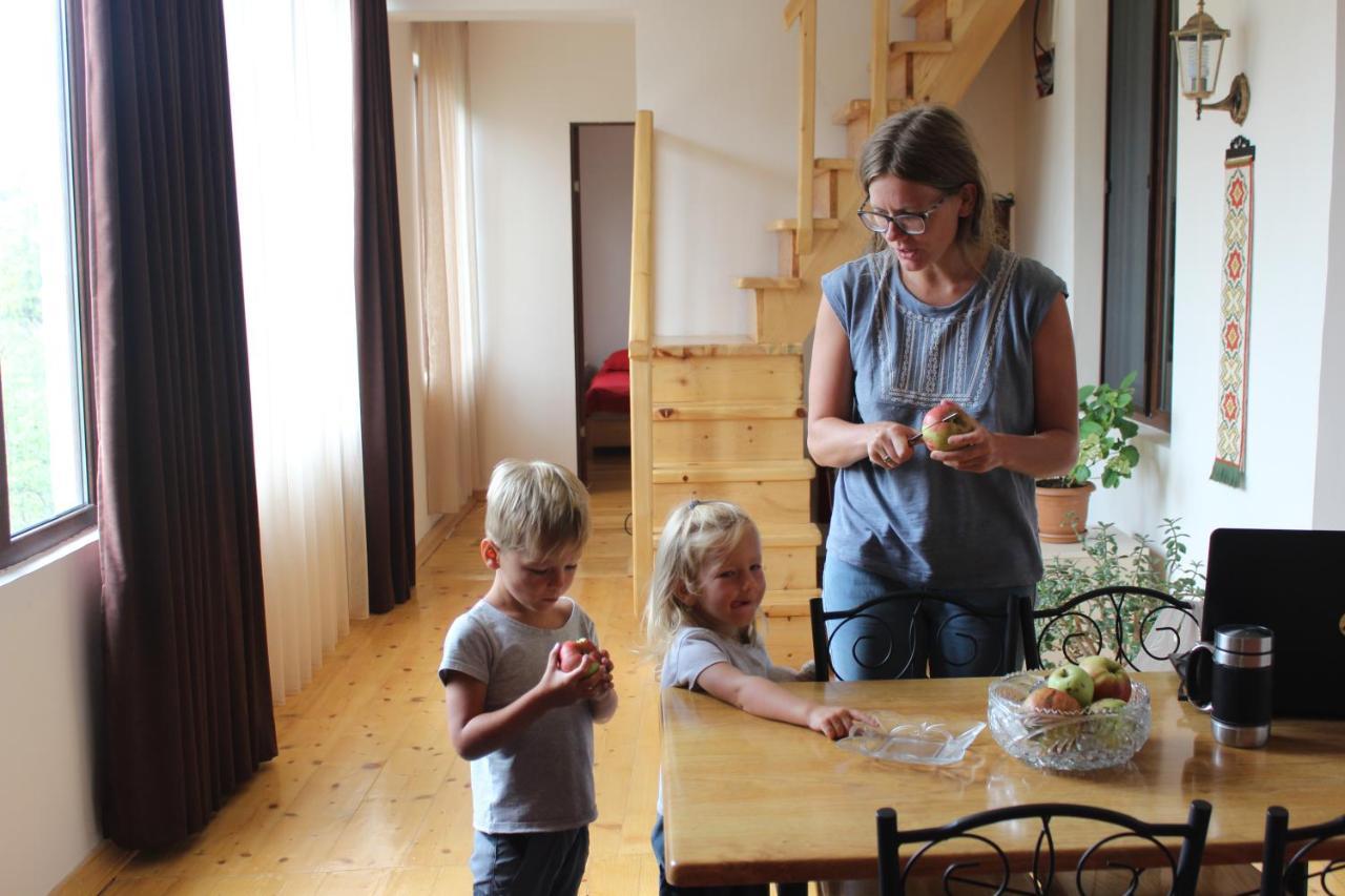Village House Mestia Kültér fotó